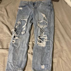 Skinny Fries Denim Mom Jeans